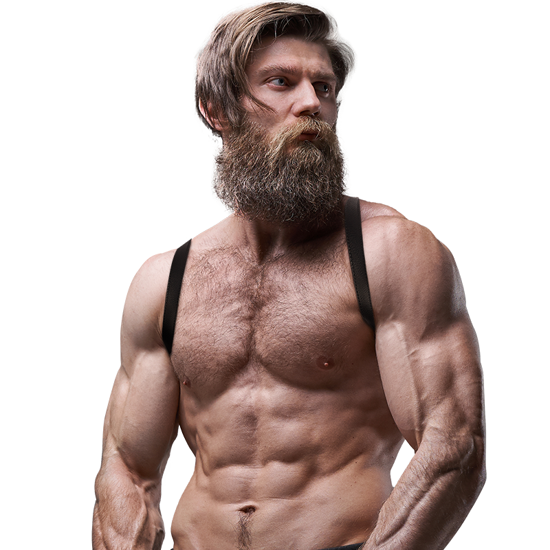 ATTITUDE FÉTICHISME SOUMIS - HARNAIS DORSAL EN CUIR ÉCOLOGIQUE POUR HOMMES
