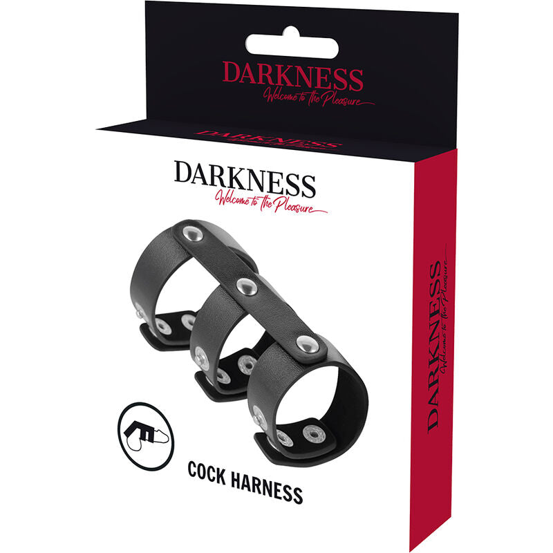 DARKNESS - ANNEAU PÉNIS ET TESTICULES DOUBLE EN CUIR RÉGLABLE