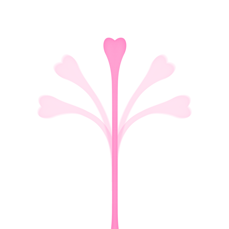 OHMAMA - LOT DE 5 BALLES D'EXERCICE KEGEL