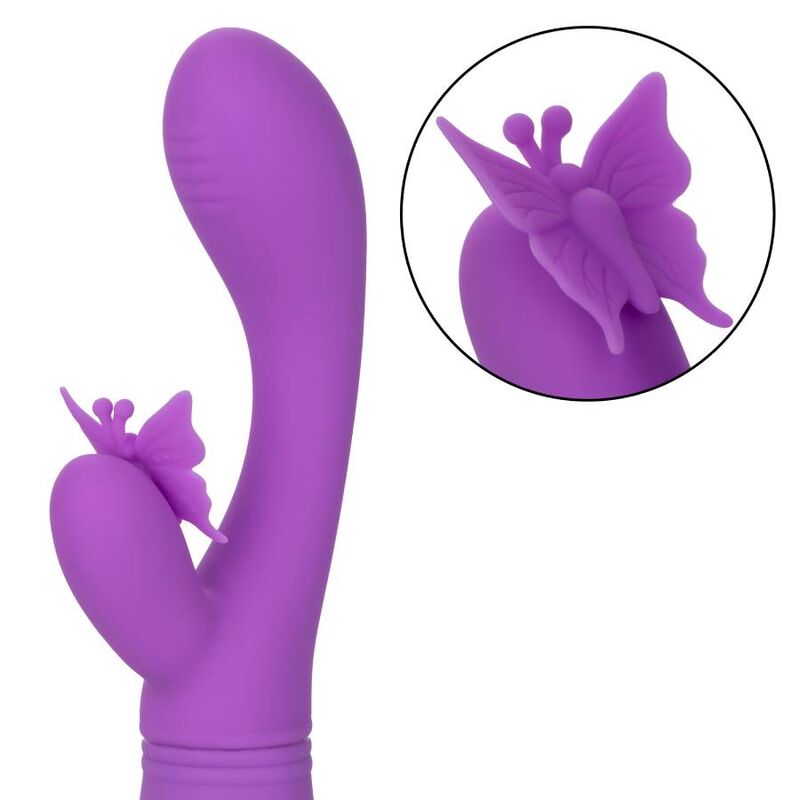 CALEXOTICS - VLINDERKUS FLUTTER VIOLET