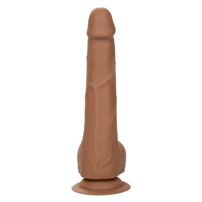 CALEXOTICS - RIVETS SILICONE 20,32 CM MARRON
