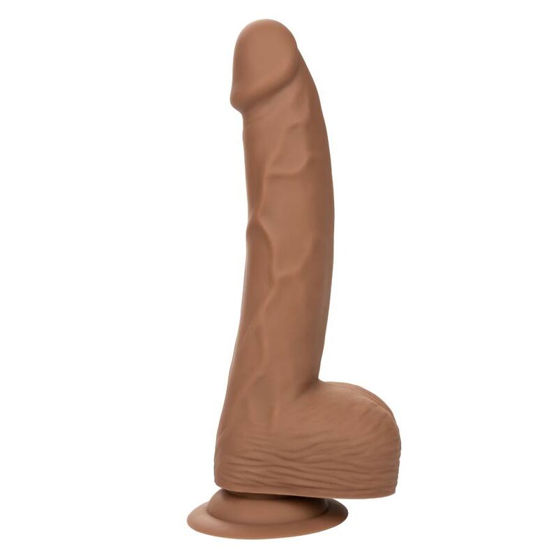 CALEXOTICS - RIVETS SILICONE 20,32 CM MARRON