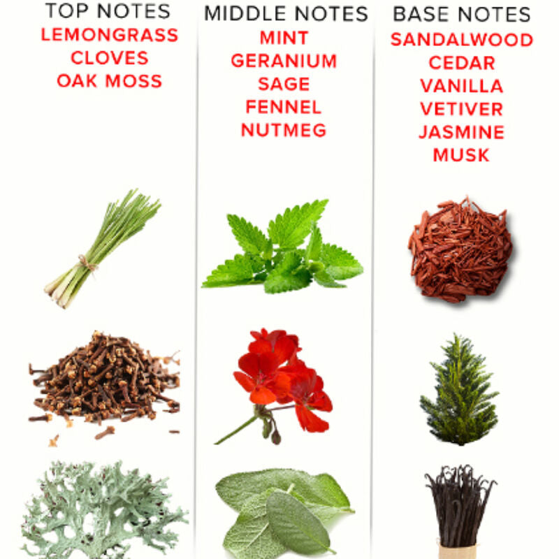 EYE OF LOVE - PARFUM PHÉROMONE EOL 10 ML - ROMANTIQUE