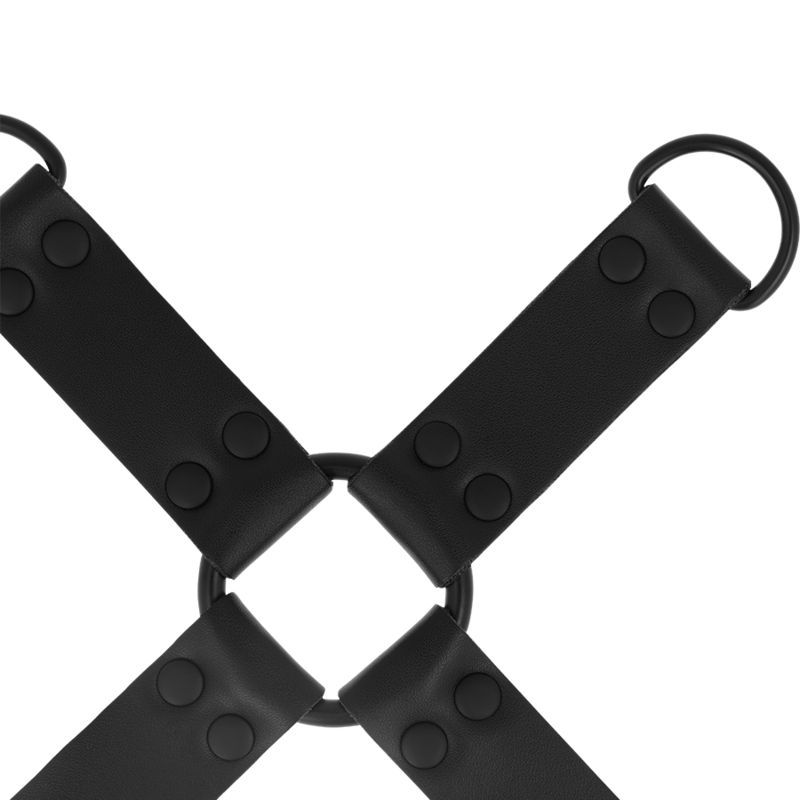 INTENSE - FÉTICHE HOG TIE