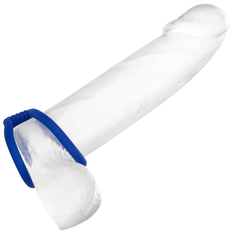 CALEXOTICS - CAGE À PÉNIS DOUBLE ADMIRAL BLEU