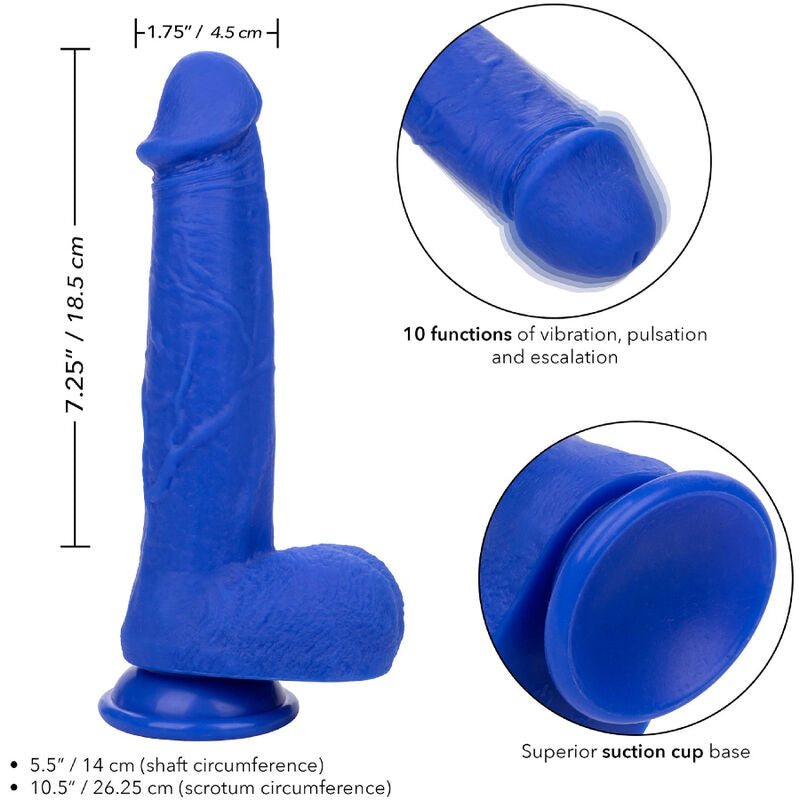 CALEXOTICS - ADMIRAL KAPITN REALISTIC DILDO VIBRATOR BLUE