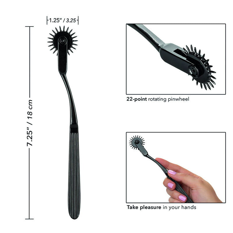 CALEXOTICS - UN PLAISIR SANS LIMITES