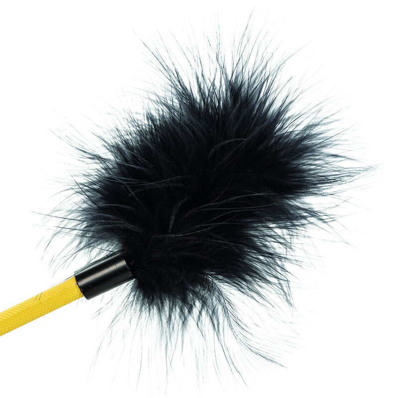 CALEXOTICS - RÉCOLTE DE PLUMES SANS LIMITES