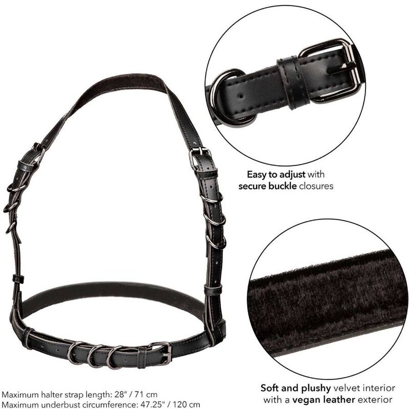 CALEXOTICS - EUPHORIA PLUS SIZE HOUDER GESP HARNAS ZWART
