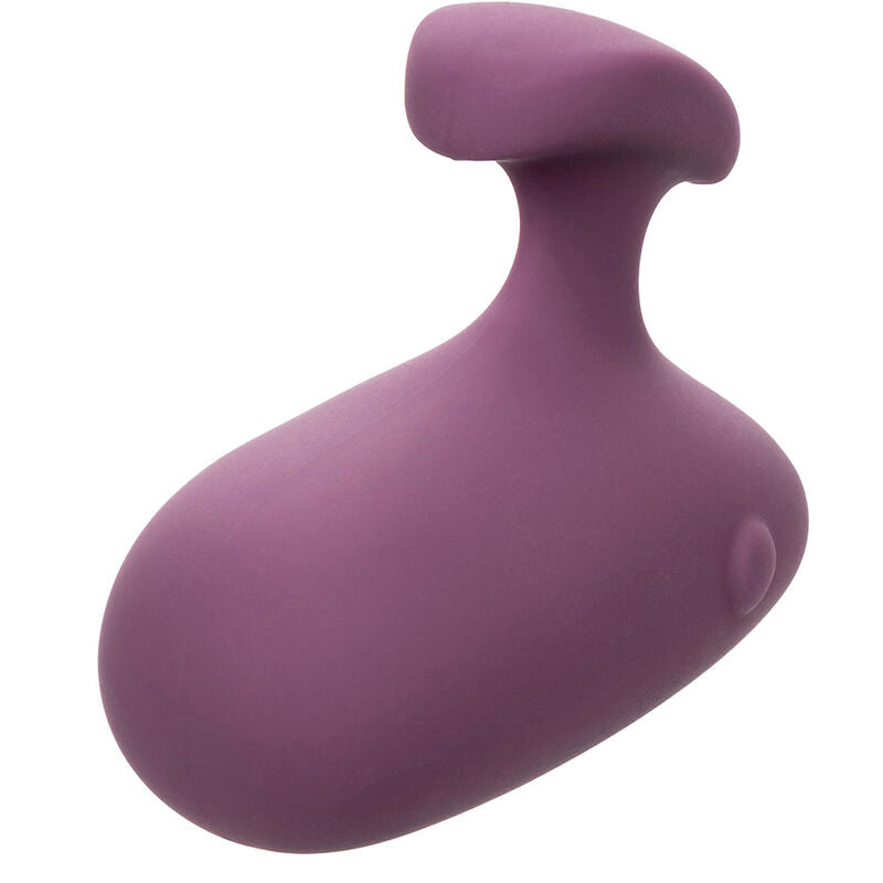 CALEXOTICS - STIMULATEUR TACTILE MOD VIOLET