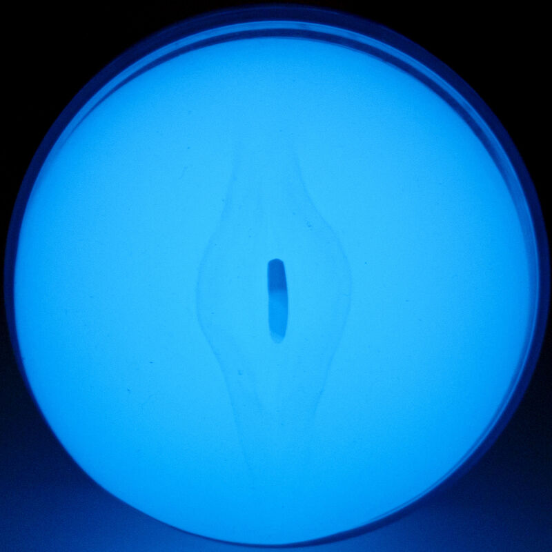KIIROO - VOEL EEN GLOW-IN-THE-DARK STROKER