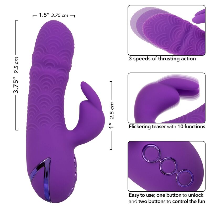 CALEXOTICS - MANHATTAN BEACH MARVEL VIBRATEUR LAPIN VIOLET PAR CALIFORNIA DREAMING