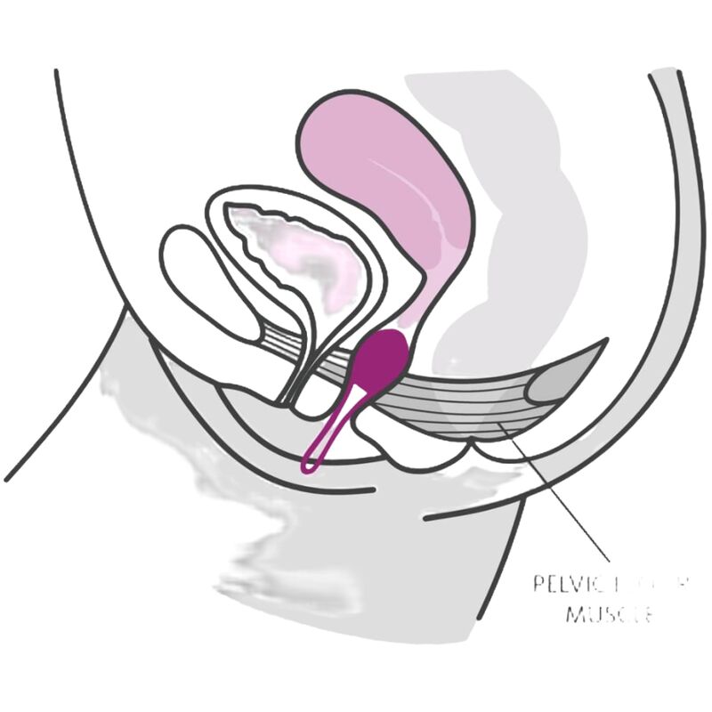 FUN FACTORY - SMARTBALL UNO PILIM BALL BLANC / VERT PISTACHE