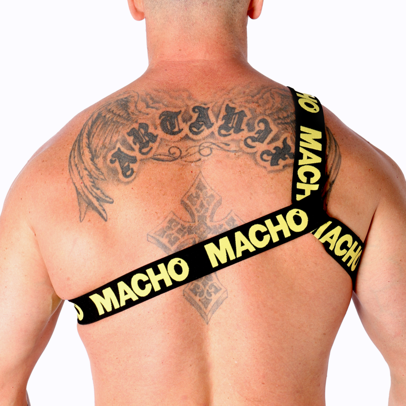 MACHO - HARNAIS ROMAIN PRIDE L/XL
