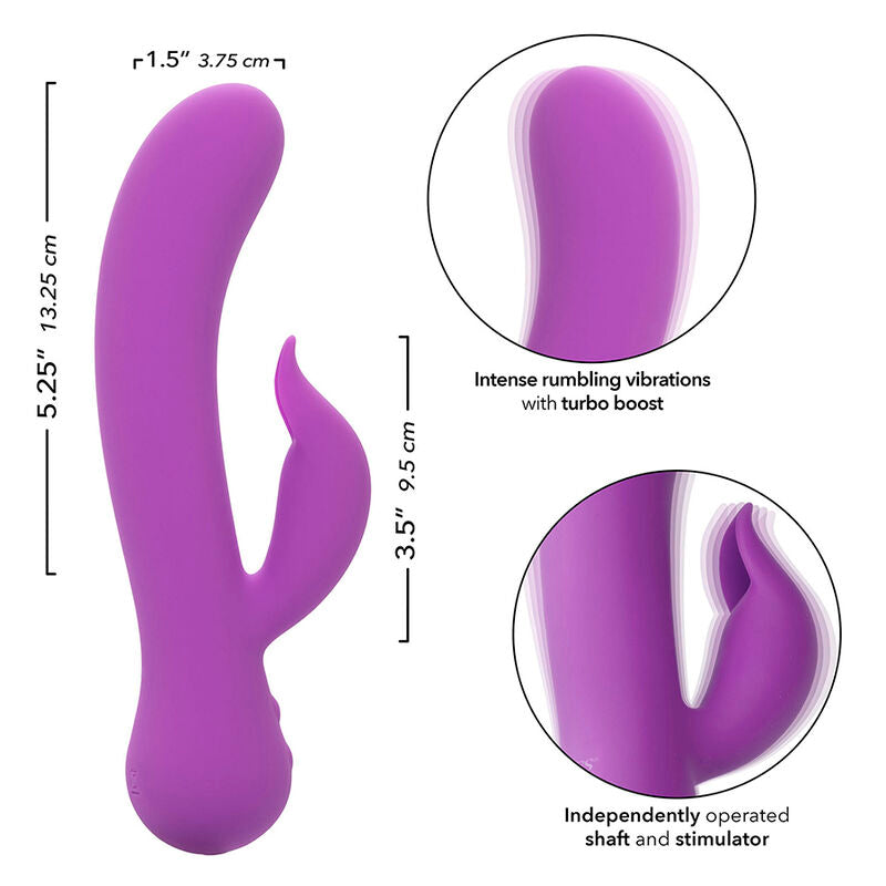 CALEXOTICS - PREMIER VIBRATEUR PLAISIR RECHARGEABLE VIOLET