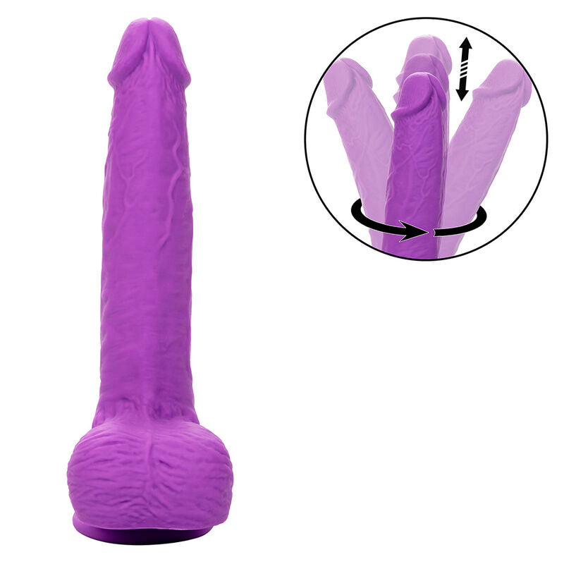 CALEXOTICS - STUDS VIBRATEUR ROTATIF RECHARGEABLE 10 VIBRATIONS VIOLET