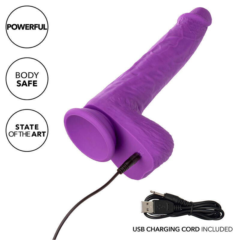CALEXOTICS - STUDS VIBRATEUR ROTATIF RECHARGEABLE 10 VIBRATIONS VIOLET