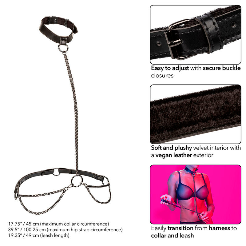 CALEXOTICS - EUPHORIA CHAIN ​​​​HALTER HALSBAND EN LEIBAND