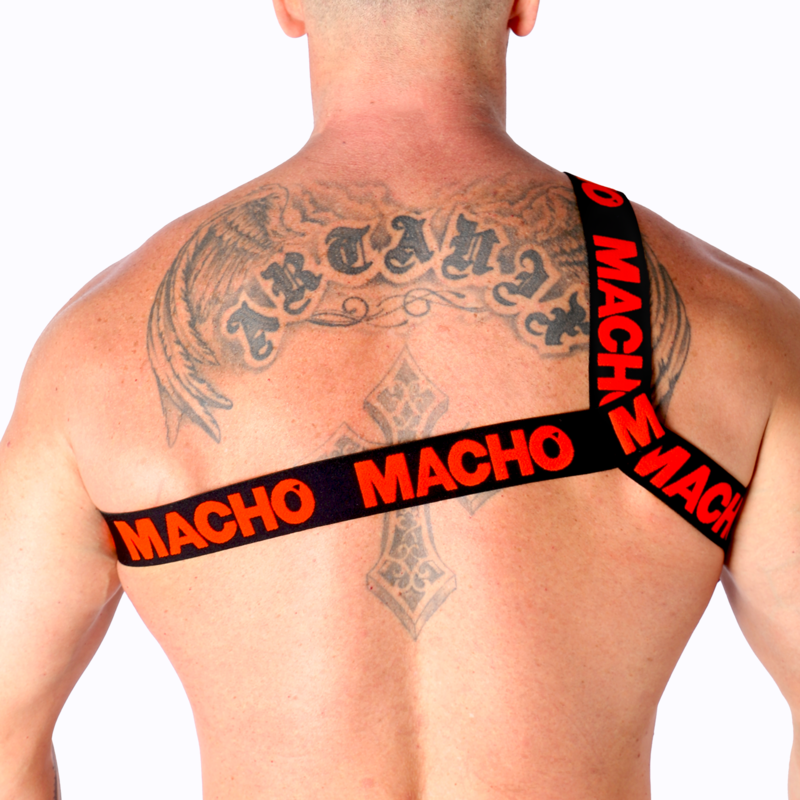 MACHO - RÖMISCHES GESCHIRR PRIDE L/XL
