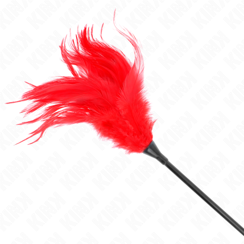 KINK - PLUSIEURS PLUMES ROUGES À CHATOUILLER 45 CM