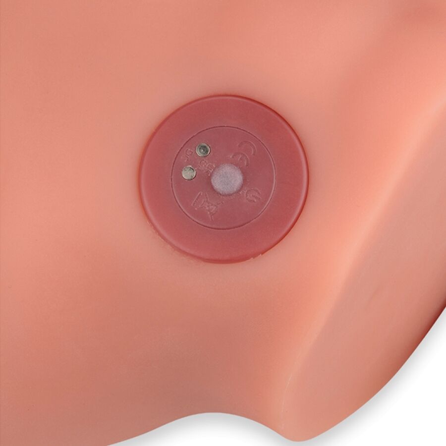 XISE - FREDERICO MASTURBADOR REALISTISCHER DILDO FRONTPOSITION MIT STOSSFUNKTION 15 CM