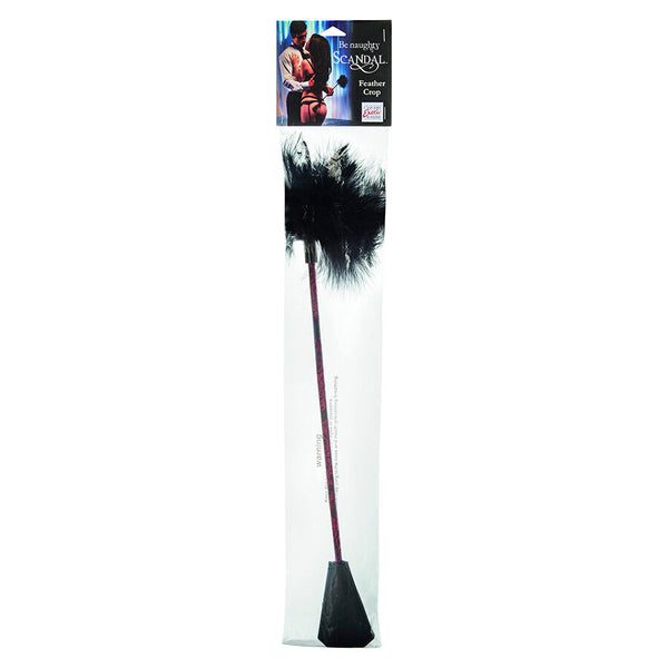 CALEXOTICS - SCANDAL SCHWARZE FEDERPEITSCHE