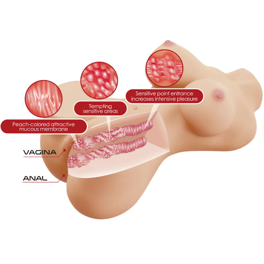 CRAZY BULL - HETTY REALISTISCHER WEIBLICHER TORSO VAGINA UND ANAL 1,9 KG