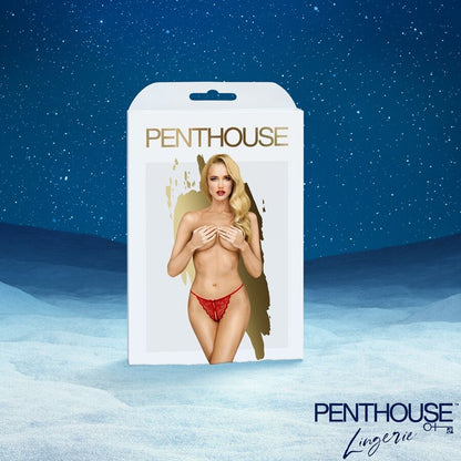 SATISFYER - PREMIUM ADVENTSKALENDER 2025