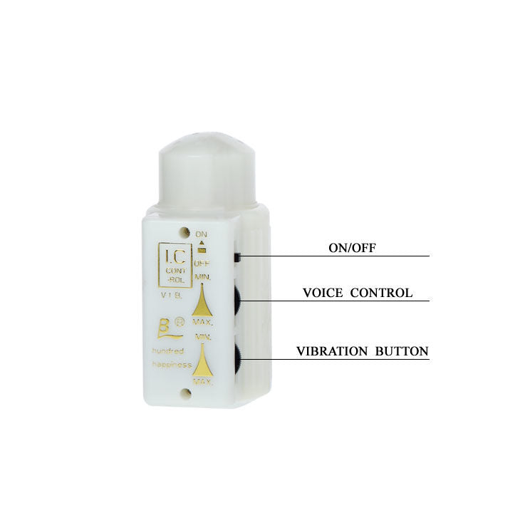 BAILE - MR BIG MASTURBATEUR RÉALISTE PÉNIS ET ANUS