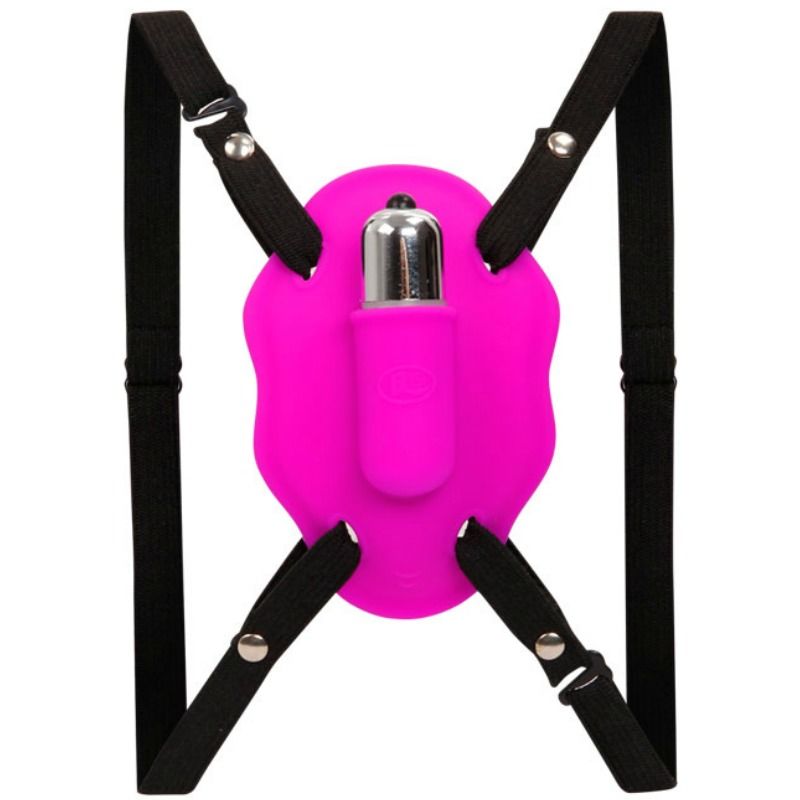 BAILE - LIEFDE RIJBEWIJS MET VIBRATIE
