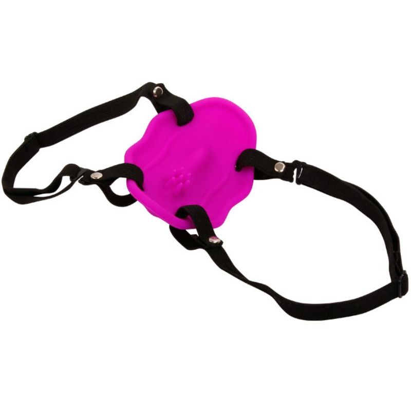 BAILE - LIEFDE RIJBEWIJS MET VIBRATIE