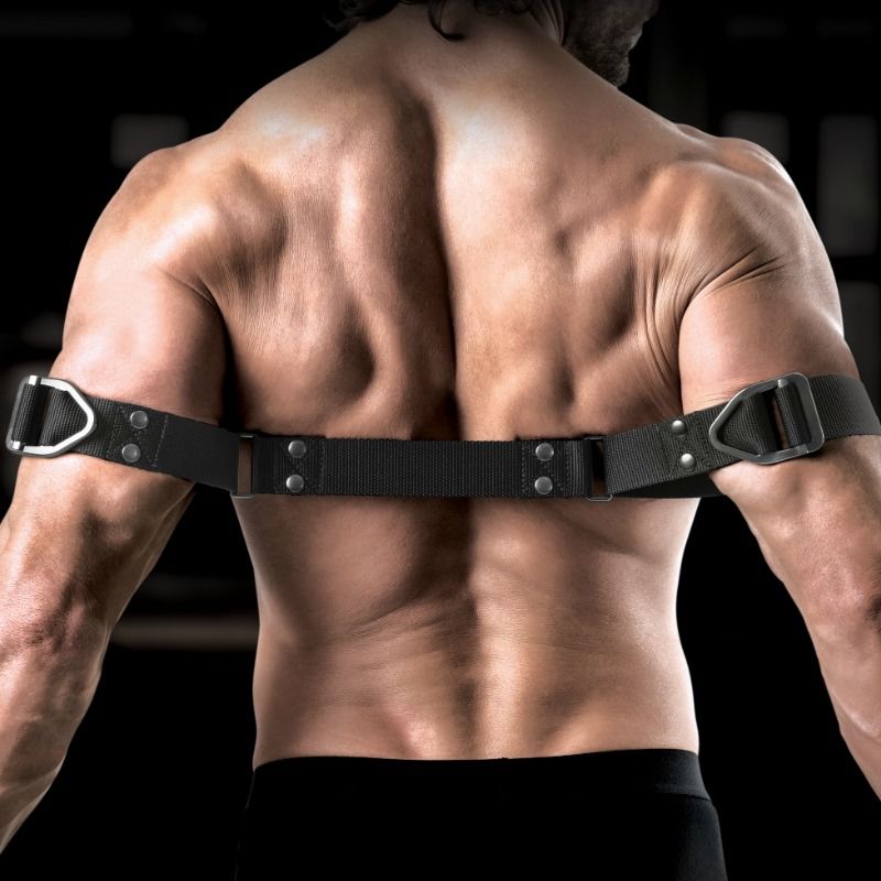 SIR RICHARDS - COMMANDEMENT DE COURBURE DE BICEPS