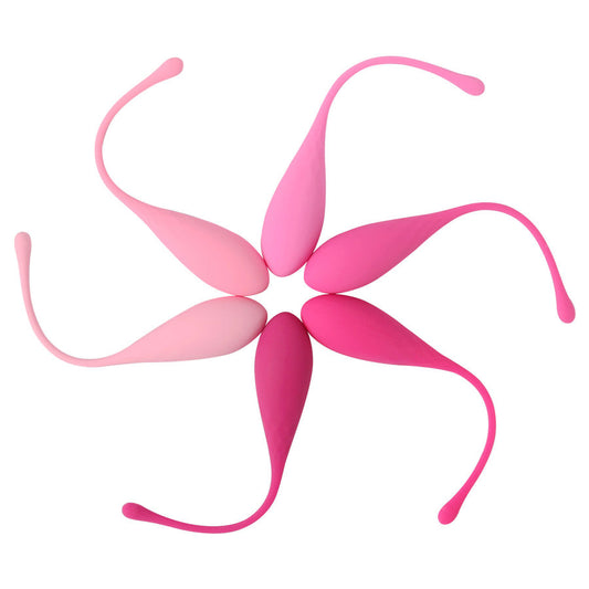 LESLIE - KEGEL FIT KIT D'ENTRAÎNEMENT DES MUSCLES PELVIENNES 6 PIÈCES