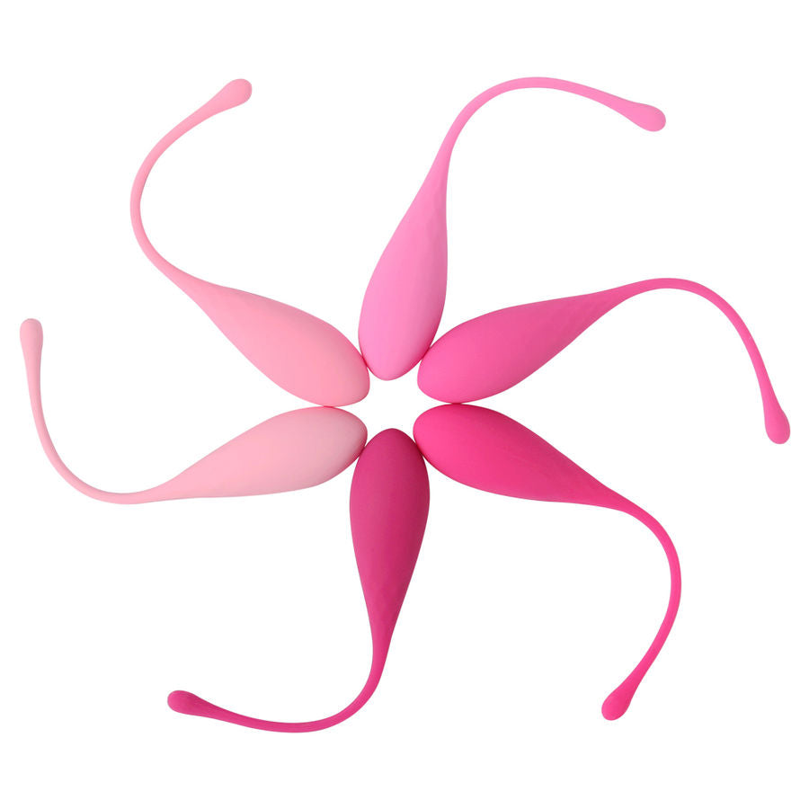 LESLIE - KEGEL FIT KIT D'ENTRAÎNEMENT DES MUSCLES PELVIENNES 6 PIÈCES