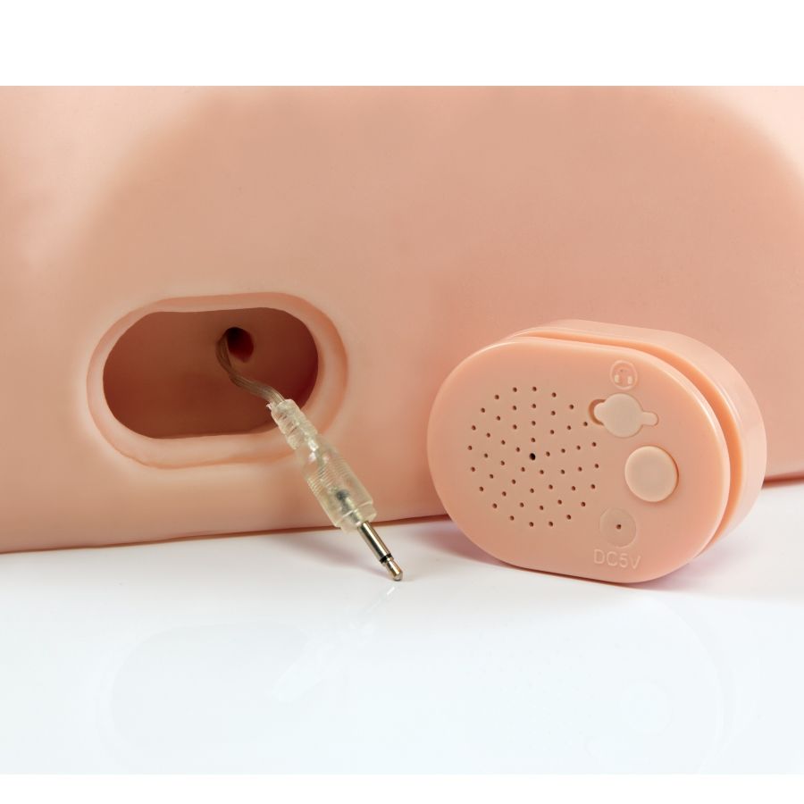 PDX MALE - MALE INTERACTIVE FUCK HIM ALUN