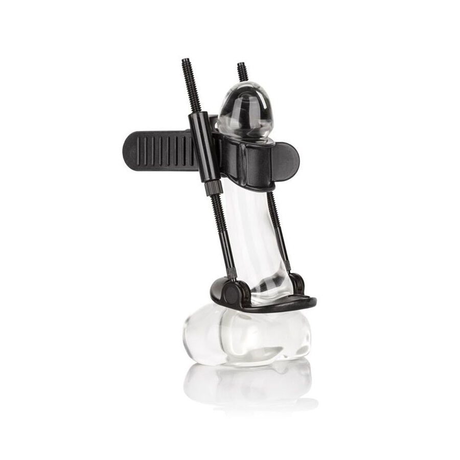 CALEXOTICS - EXTENSEUR DE PÉNIS